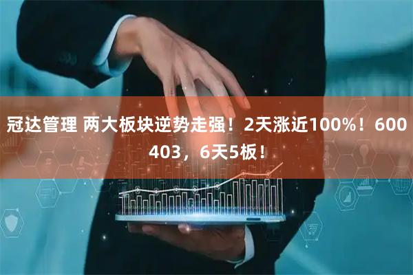 冠达管理 两大板块逆势走强！2天涨近100%！600403，6天5板！