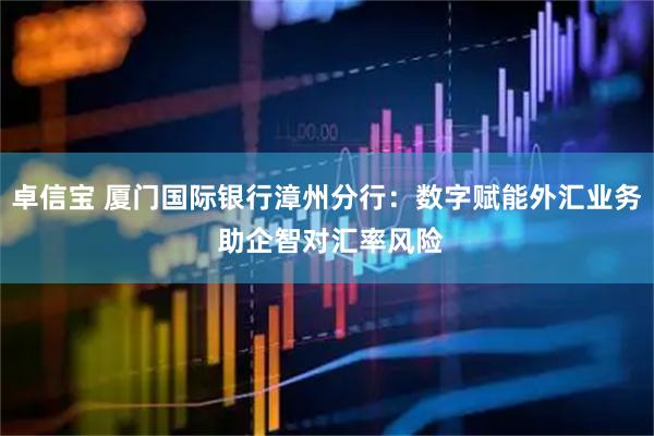 卓信宝 厦门国际银行漳州分行：数字赋能外汇业务 助企智对汇率风险